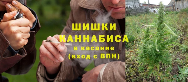 PSILOCYBIN Саяногорск