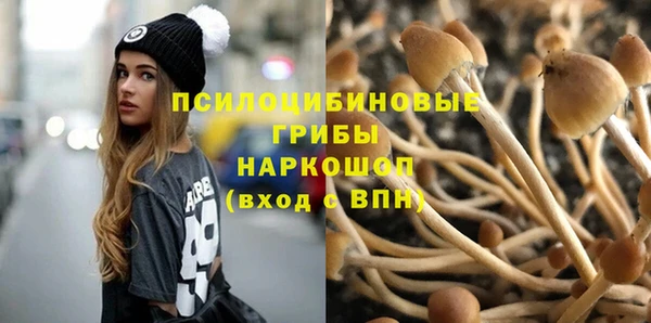 соль ск Сафоново