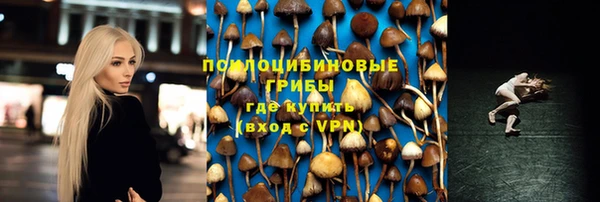 PSILOCYBIN Саяногорск